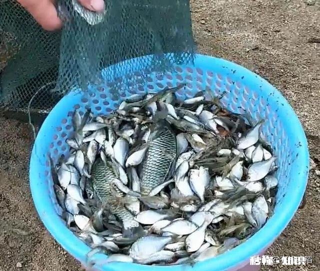 冬季下地笼,能行不,能网到大货吗买了个地笼准备下