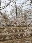 七十二岁的婆婆还能不能带刚出生的宝宝，怕把婆婆累出病