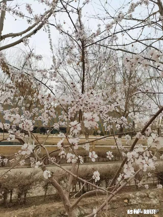 七十二岁的婆婆还能不能带刚出生的宝宝，怕把婆婆累出病