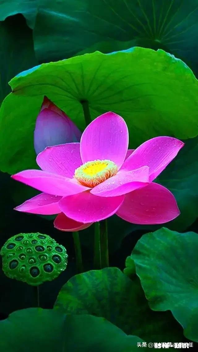 如果你是一个富翁，你疼爱的女儿很喜欢一个穷小子，怎么办