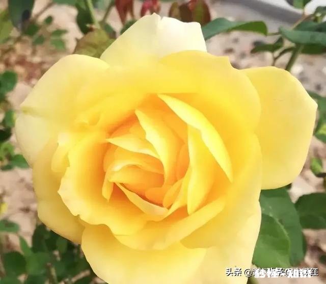 如果你是一个富翁，你疼爱的女儿很喜欢一个穷小子，怎么办