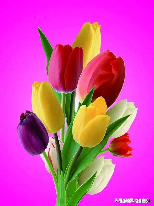 如果你是一个富翁，你疼爱的女儿很喜欢一个穷小子，怎么办