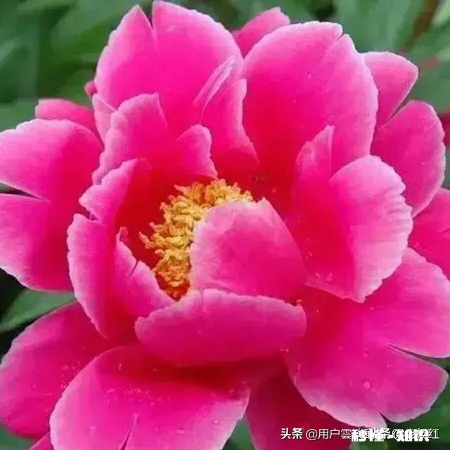 如果你是一个富翁，你疼爱的女儿很喜欢一个穷小子，怎么办