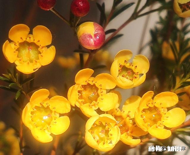 为什么有的男生追到了女生就不珍惜了