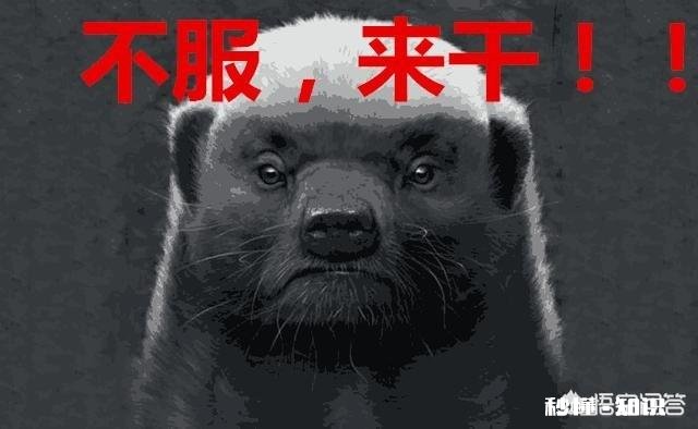 徐州房地产市场回冷了，你觉得会降价吗还能降到六七千的价格吗