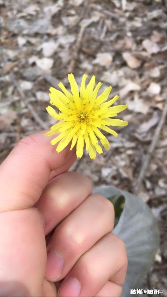 老师的严厉批评，你觉得好吗
