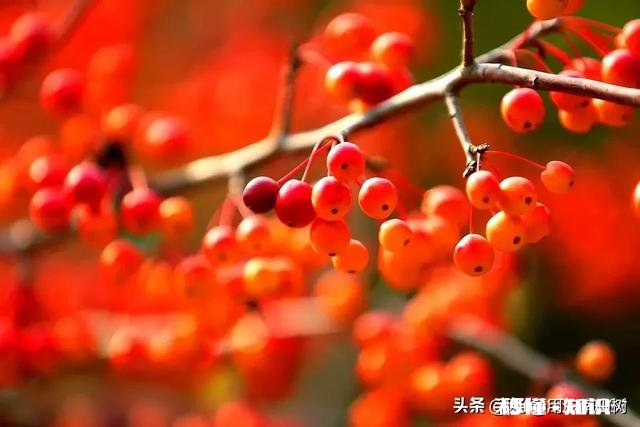 请问穷和年龄大哪个更可怕