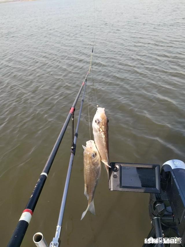 我发现钓鱼的朋友，装备党很多，你怎么看真正钓鱼高手什么样