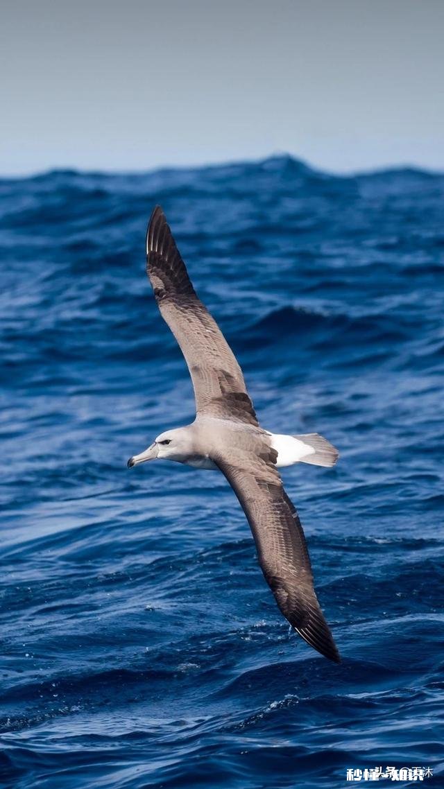 你会不会突然觉得身边没有一个朋友，这时候你会想些什么