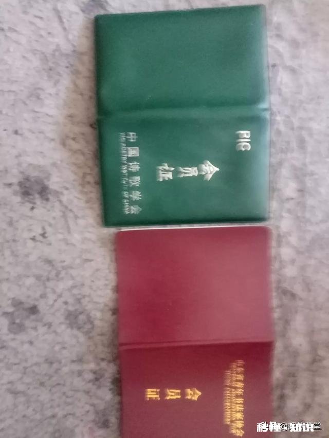 “苏黄米蔡”宋四家,谁的书法造诣更高,学习哪位书法家的书法更易入门