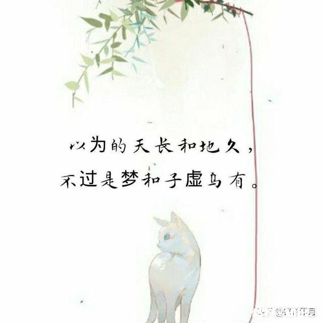 为什么在金钱面前,有些感情会显得很脆弱