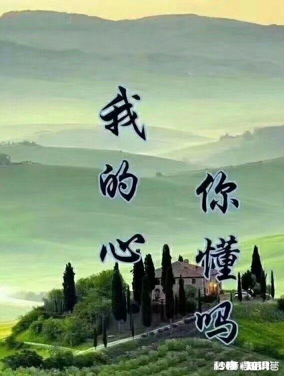 为什么在金钱面前,有些感情会显得很脆弱