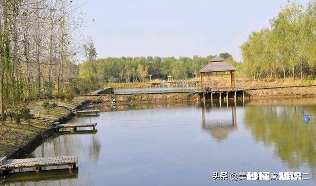 挖一个4亩鱼塘要多久要注意什么