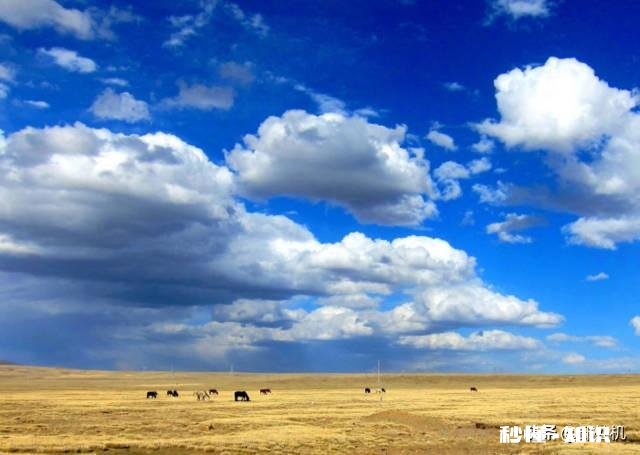 如果你去拉萨你会选择自驾游，还是坐火车