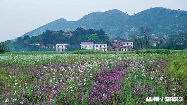 为什么农村的孩子13，4岁往外一丢。而城里却不会