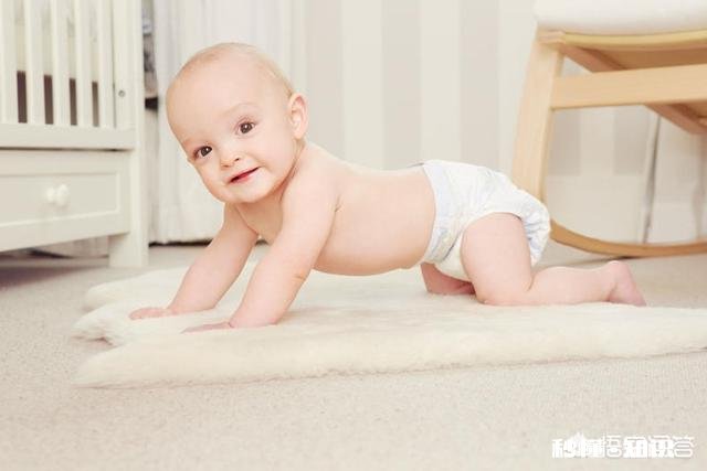 如何指导幼儿如厕