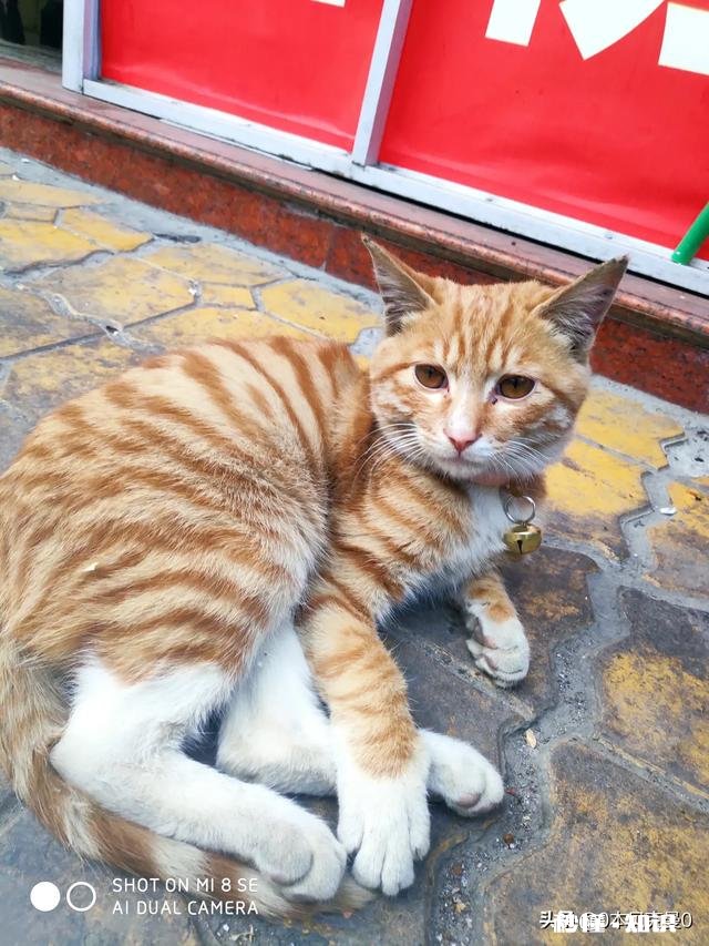 DNF如何评价一些团长宁愿要打造一般超界五C，也不要打造不错散搭2+2+1的C