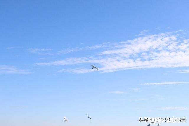 为什么进步越来越难了请各位大神指导一下