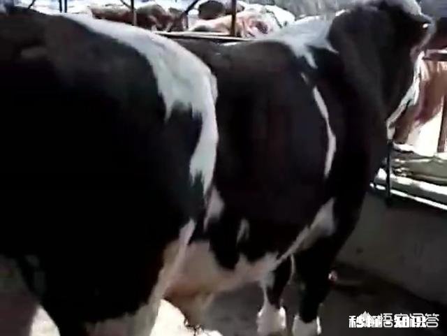 农村的生活真的好吗很多想回农村的人是不是因为承受不了城市高节奏生活的压力