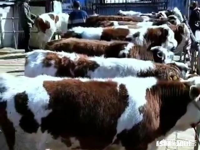 农村的生活真的好吗很多想回农村的人是不是因为承受不了城市高节奏生活的压力