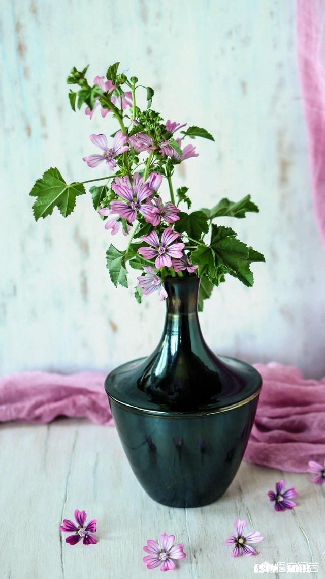 农村的生活真的好吗很多想回农村的人是不是因为承受不了城市高节奏生活的压力