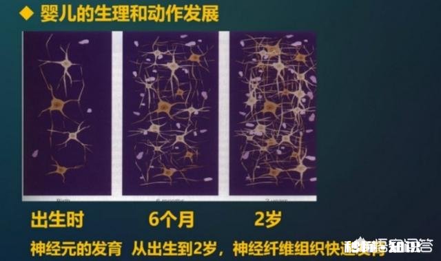 如何让家庭教育发挥应有的功效