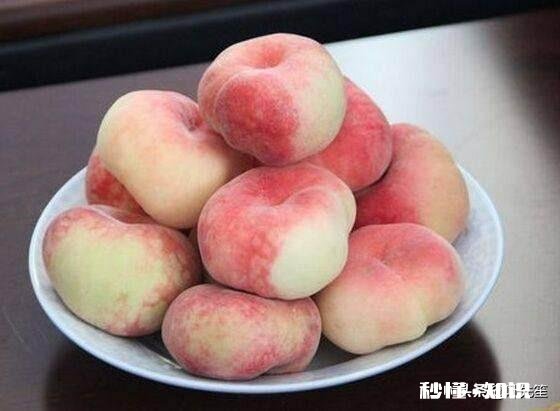 蟠桃和水蜜桃哪个更好吃为什么说吃桃子时不能喝白酒