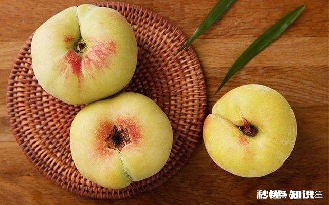 蟠桃和水蜜桃哪个更好吃为什么说吃桃子时不能喝白酒