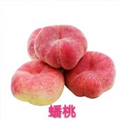 蟠桃和水蜜桃哪个更好吃为什么说吃桃子时不能喝白酒