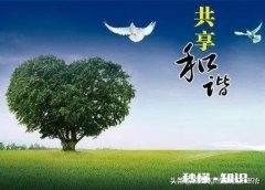 你们会不会因为一句话而失眠