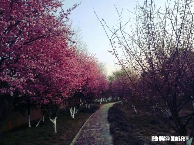 你拍过哪些好看的人像照片