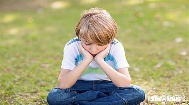 贾乃亮和李小璐什么时候会要二胎