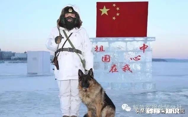 你耳熟能详的电影歌曲是哪首呢