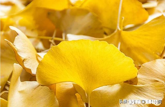 所谓的信息是指什么