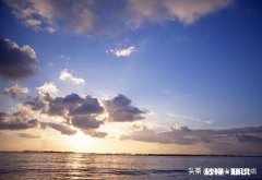 所谓的信息是指什么