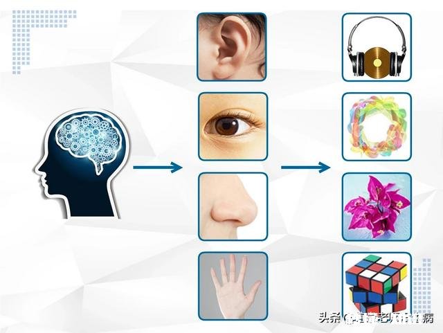 所谓的信息是指什么