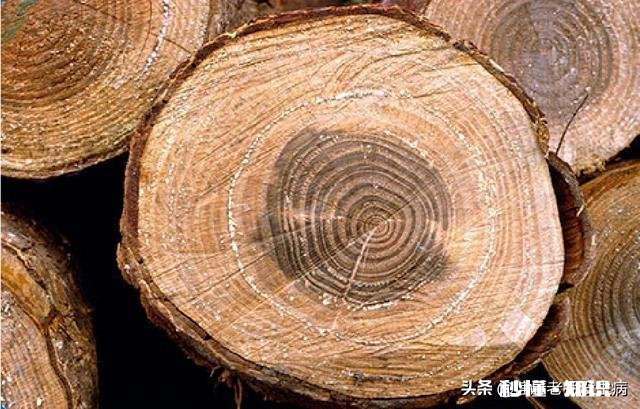 所谓的信息是指什么