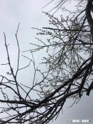 央视《我的时代和我》有多少正能量想传达什么人生价值观