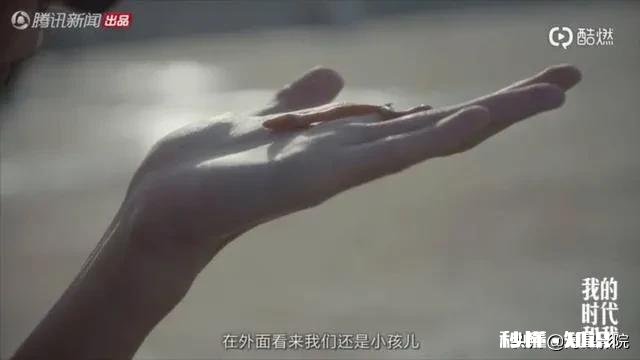 央视《我的时代和我》有多少正能量想传达什么人生价值观