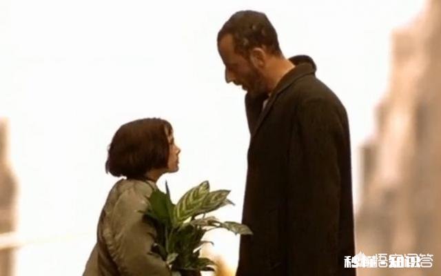 请用一句话证明你是在混日子谢谢