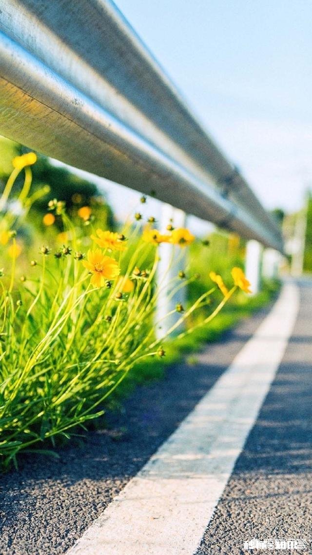 请用一句话证明你是在混日子谢谢