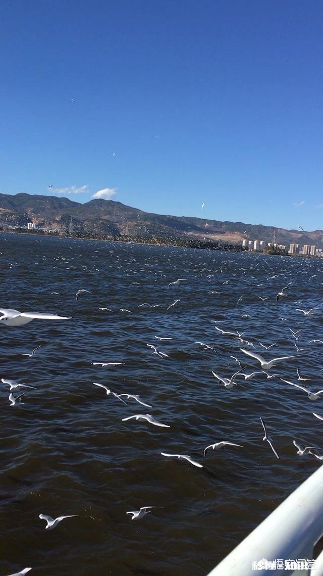 女生不小心进了男厕所要怎么化解尴尬