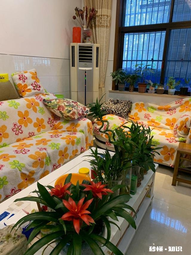 养花冬天要浇水吗