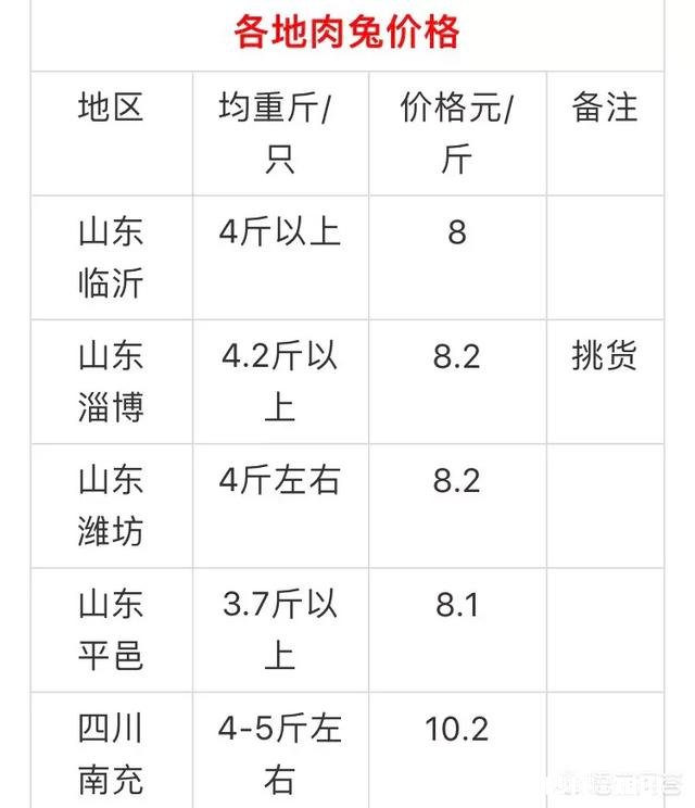 今年养兔子行业怎么样