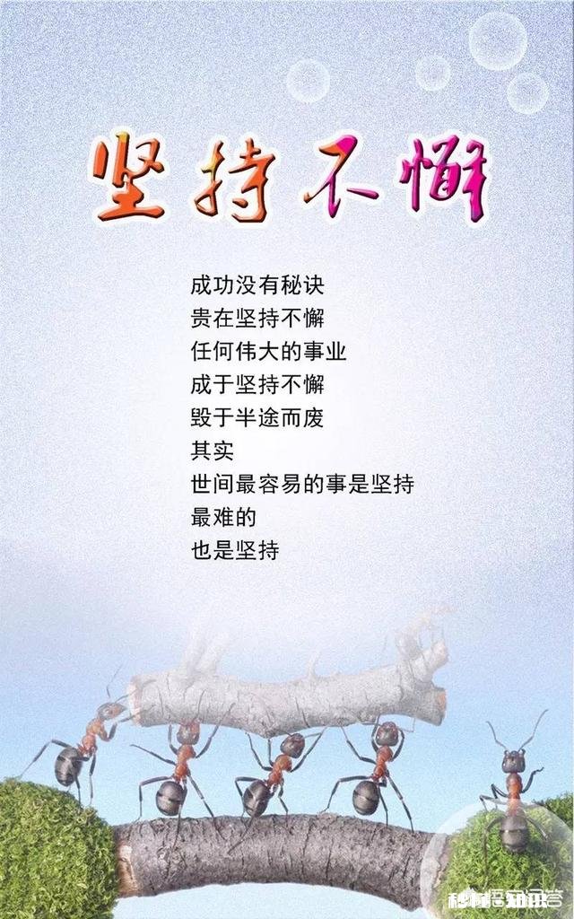 观《少年的你》有感：即使世界千疮百孔，希望仍然存在。大家认同吗