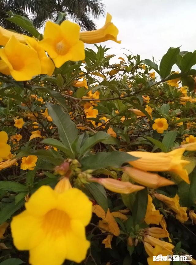 你有多久没陪妈妈逛街了