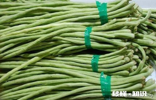 豆角榨成汁和面可以包饺子吗