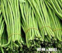 豆角榨成汁和面可以包饺子吗