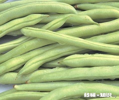 豆角榨成汁和面可以包饺子吗