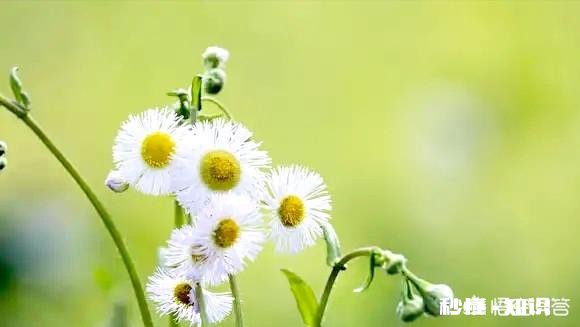 天蝎座都是敏感记仇爱翻旧账的吗